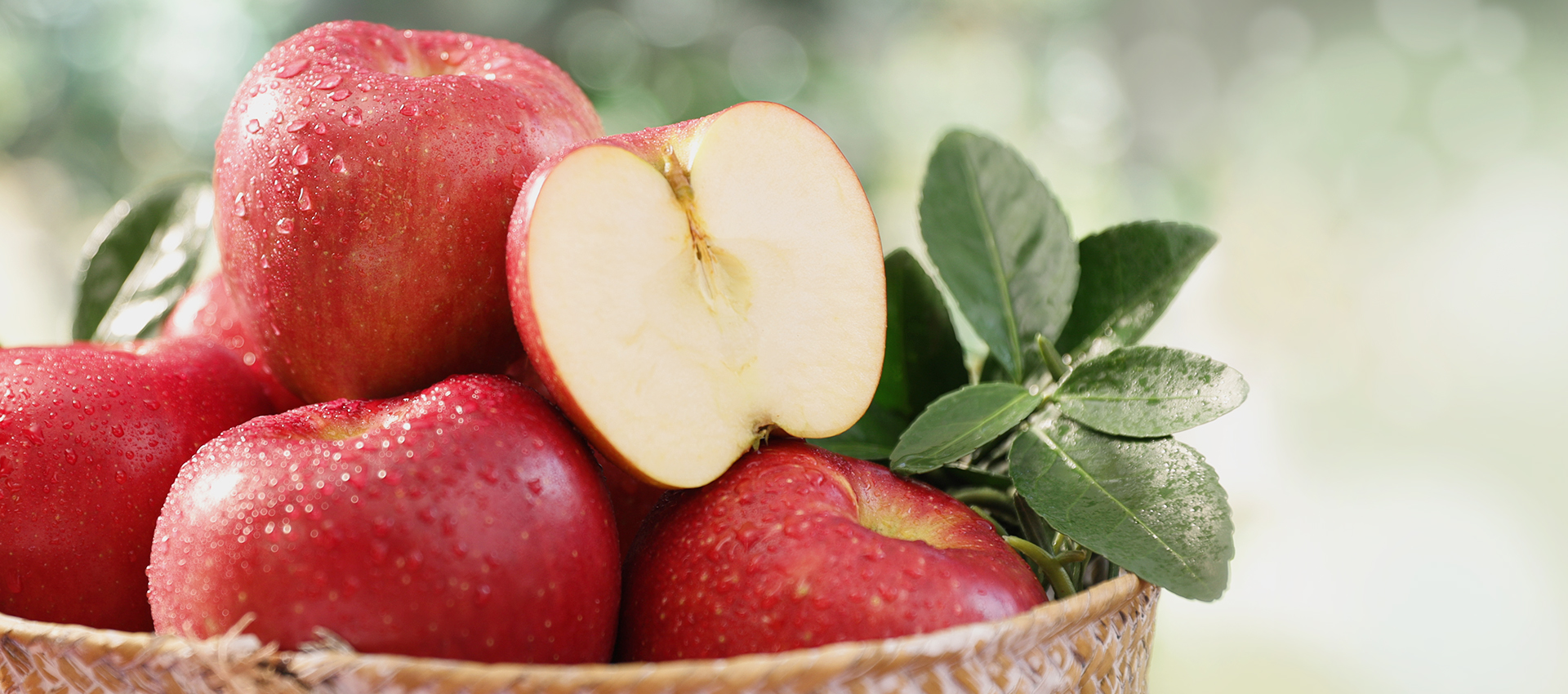 농업회사법인과일드림주식회사