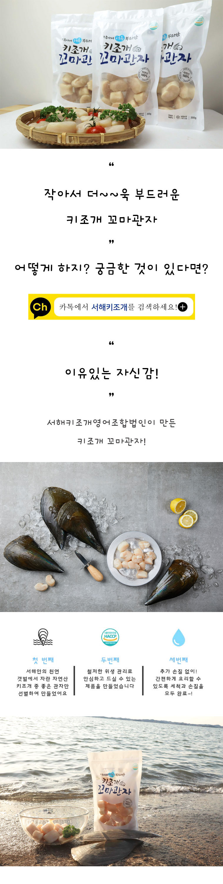 editor이미지