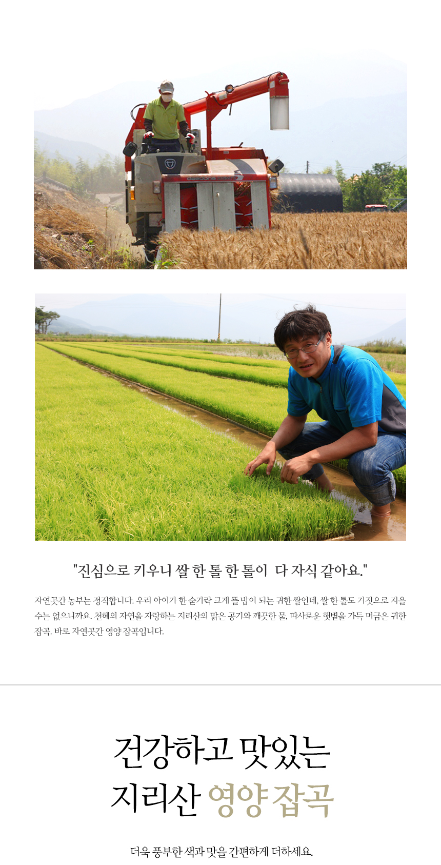 editor이미지