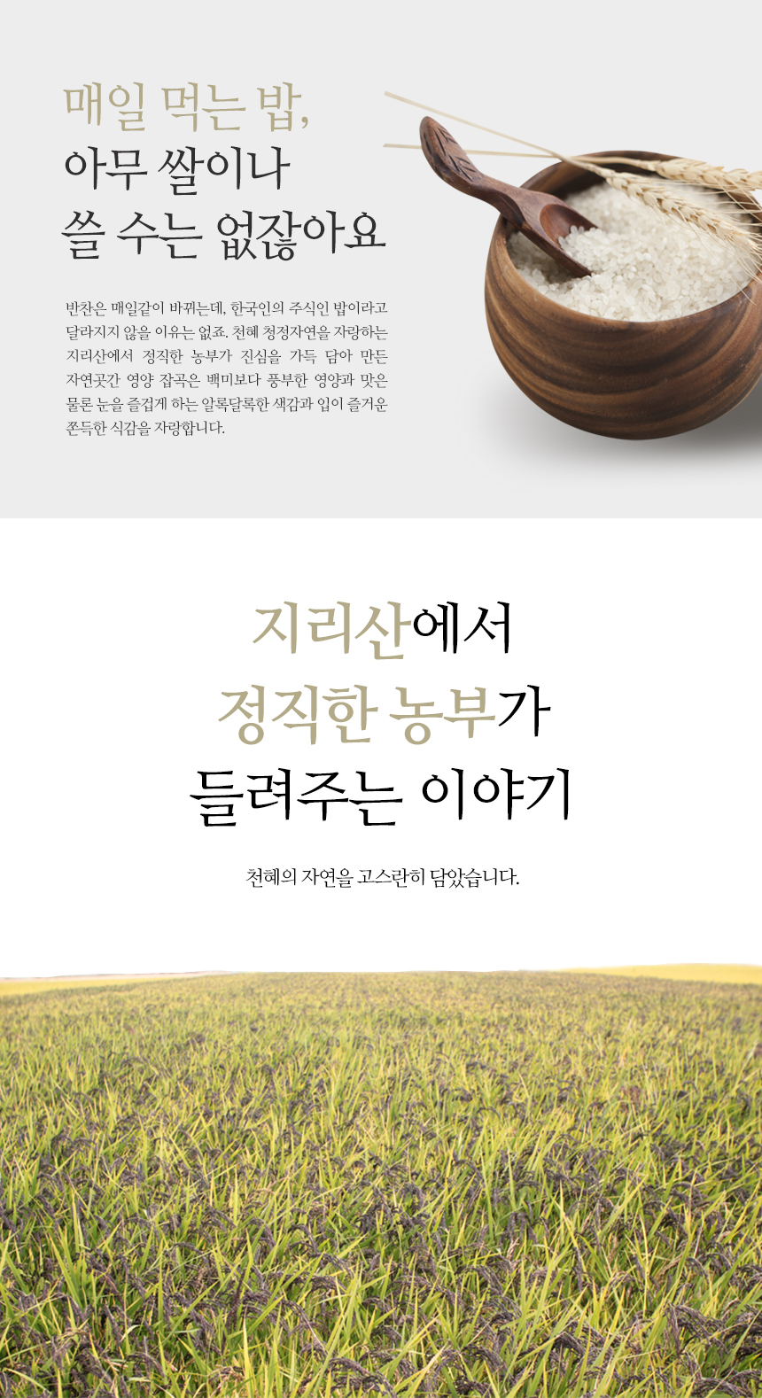 editor이미지