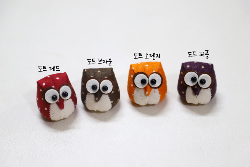 editor이미지