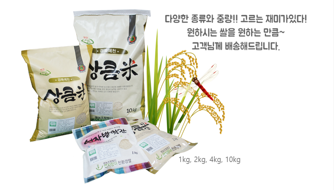 editor이미지