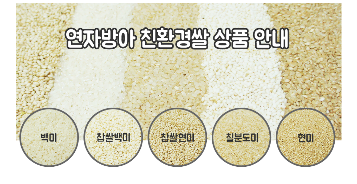 editor이미지