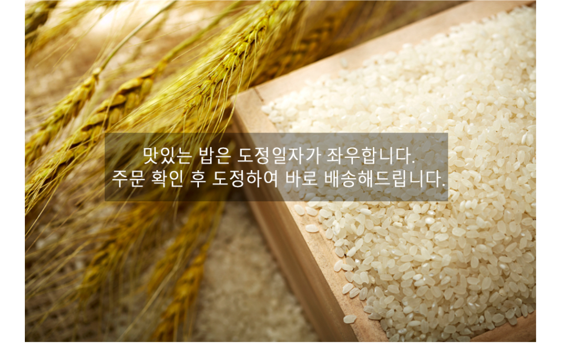 editor이미지