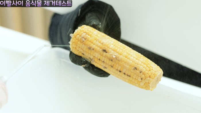 editor이미지