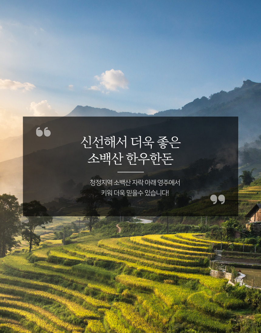 editor이미지