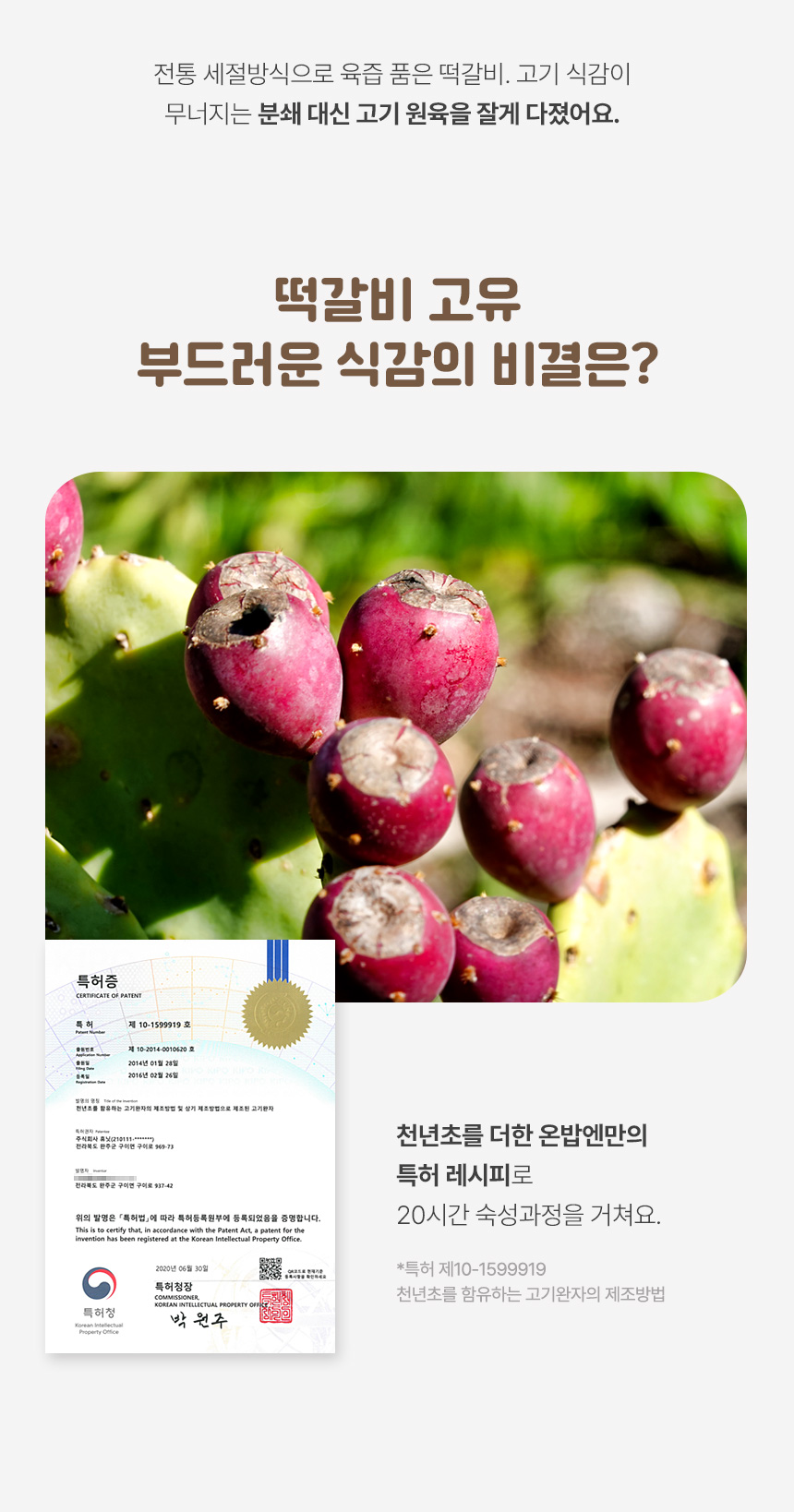 editor이미지