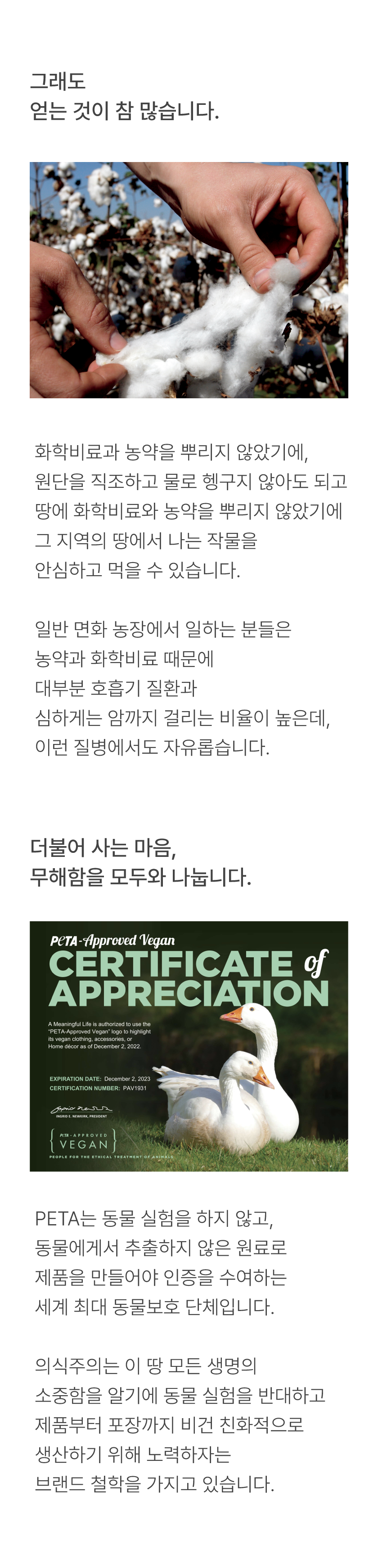 editor이미지