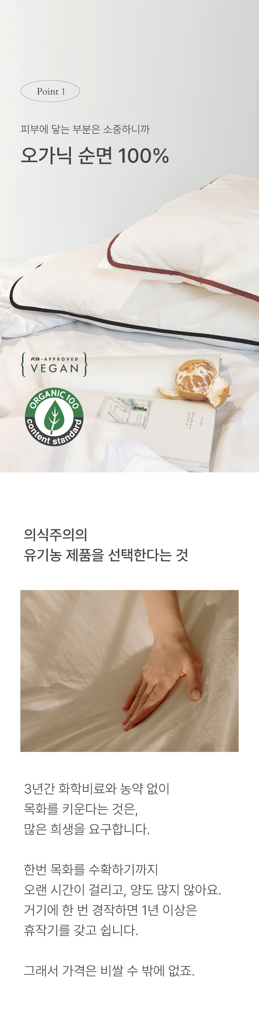 editor이미지