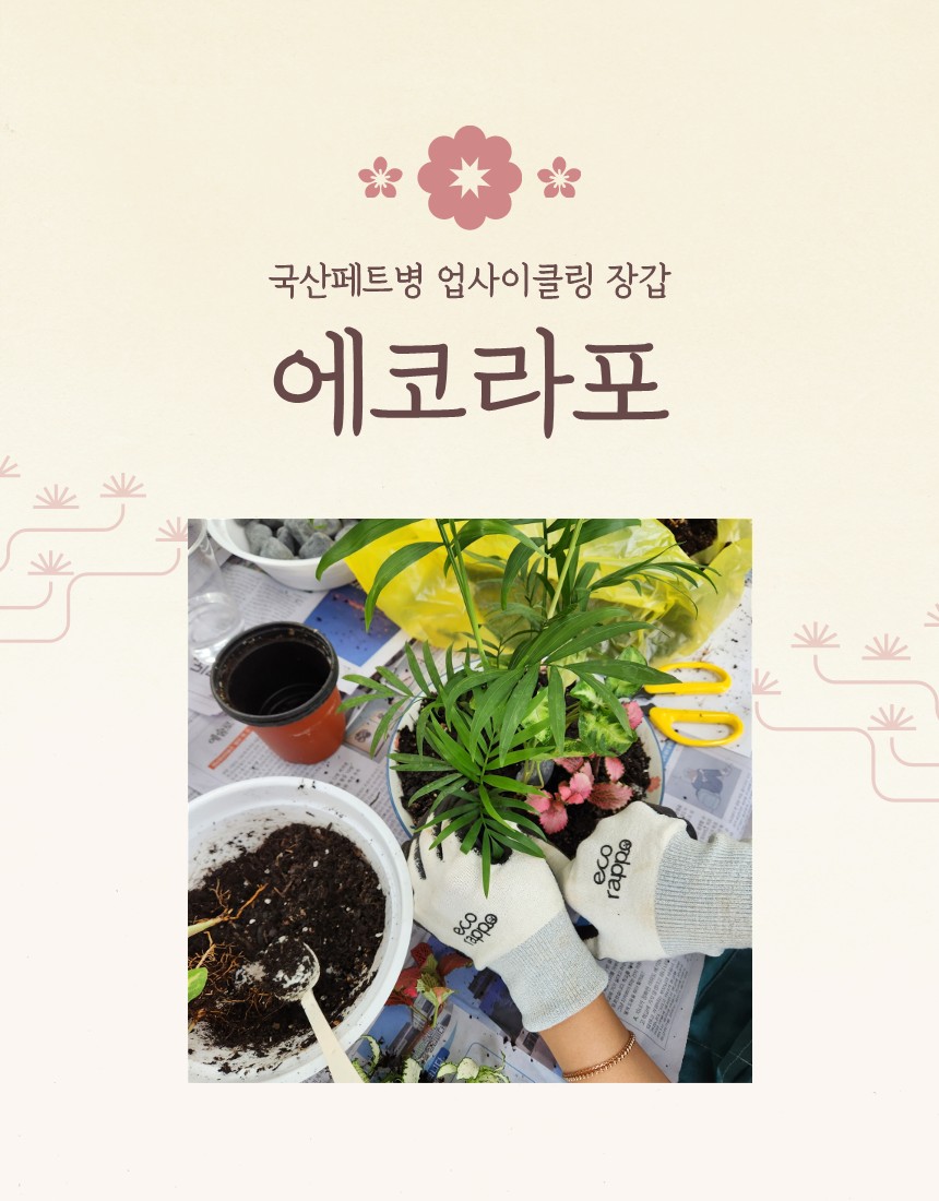 editor이미지