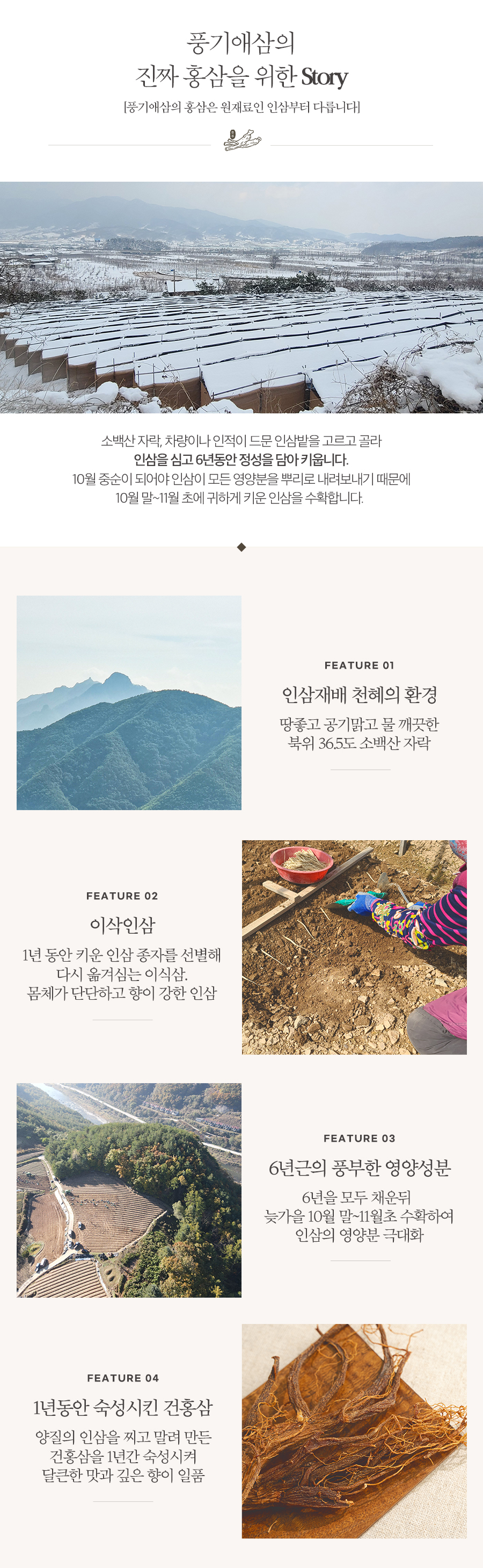 editor이미지