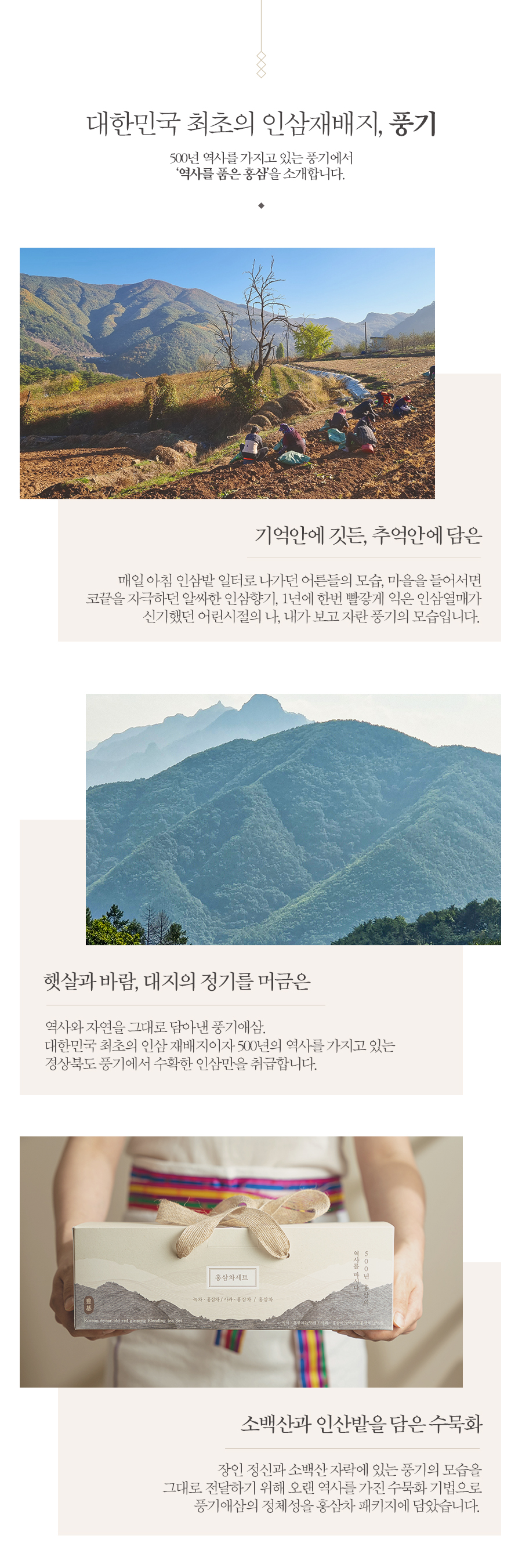 editor이미지