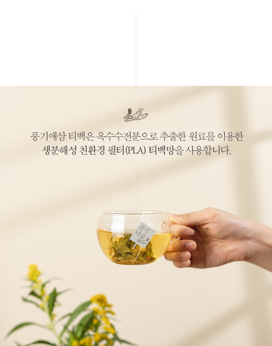 editor이미지