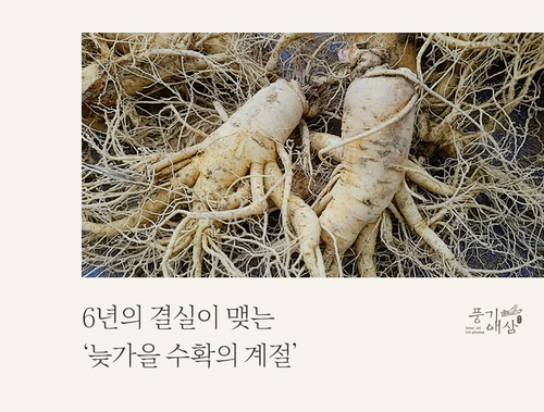 editor이미지