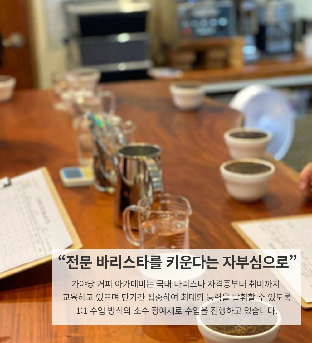 editor이미지