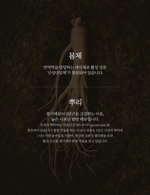 editor이미지