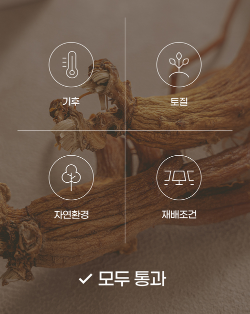 editor이미지