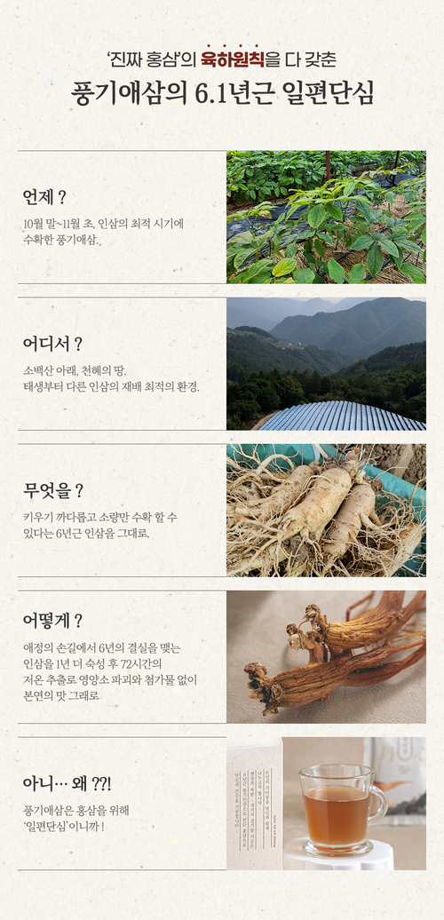 editor이미지