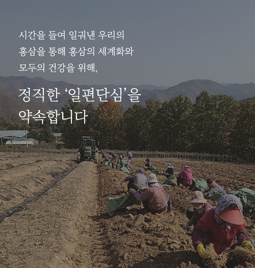 editor이미지