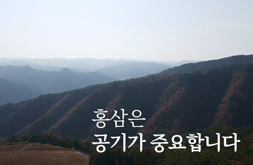 editor이미지