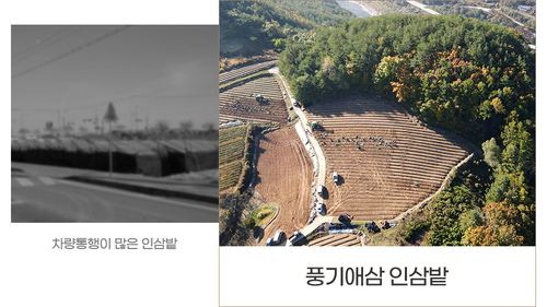editor이미지