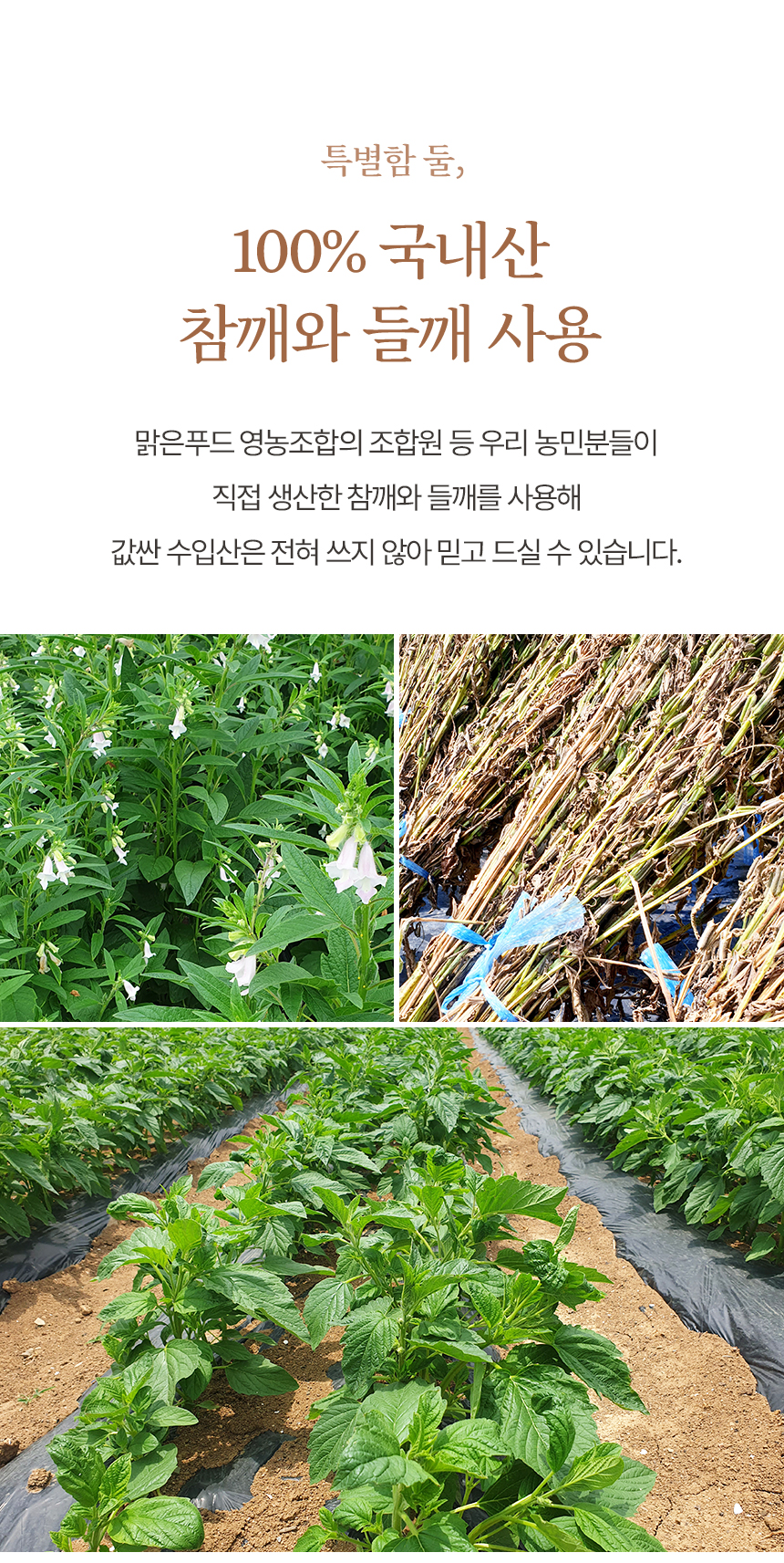 editor이미지
