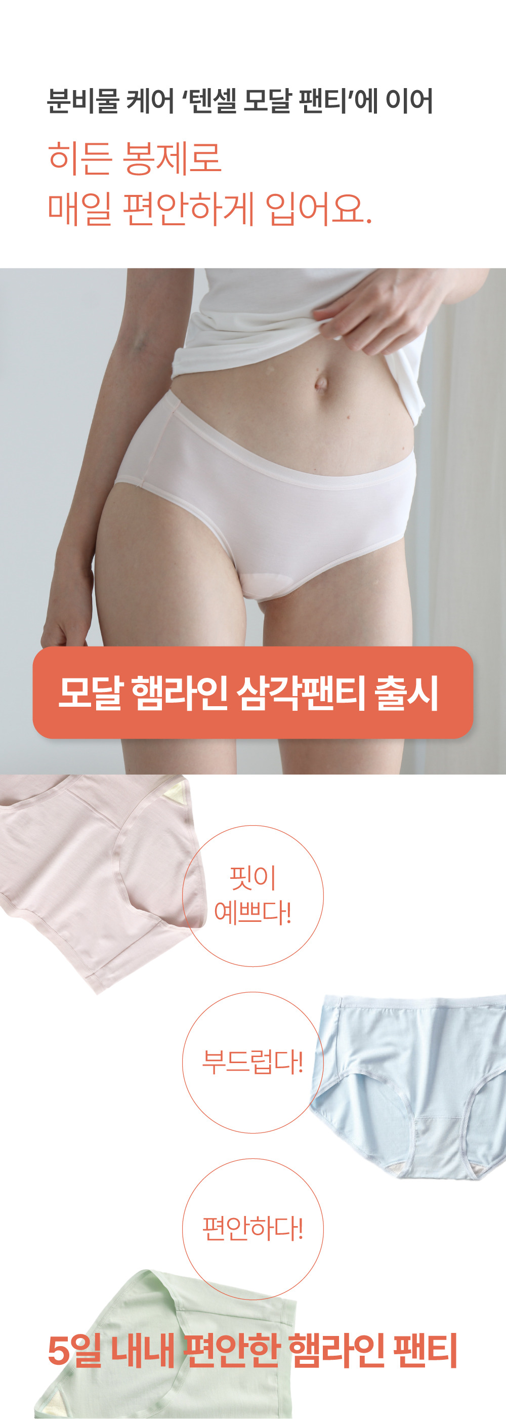 editor이미지