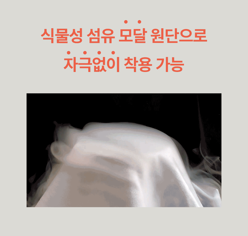editor이미지