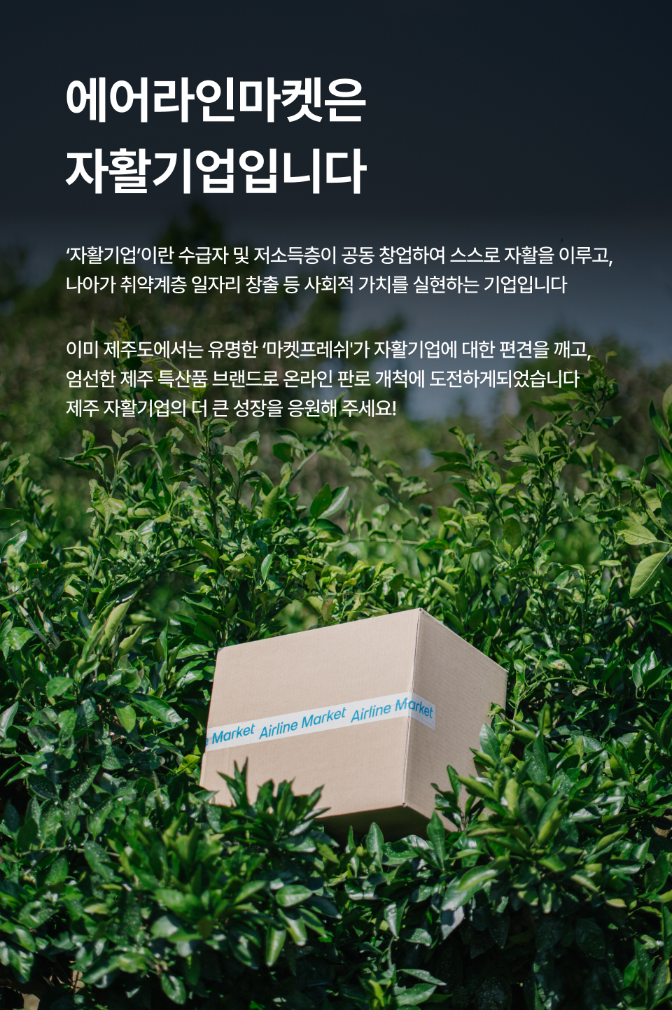 editor이미지