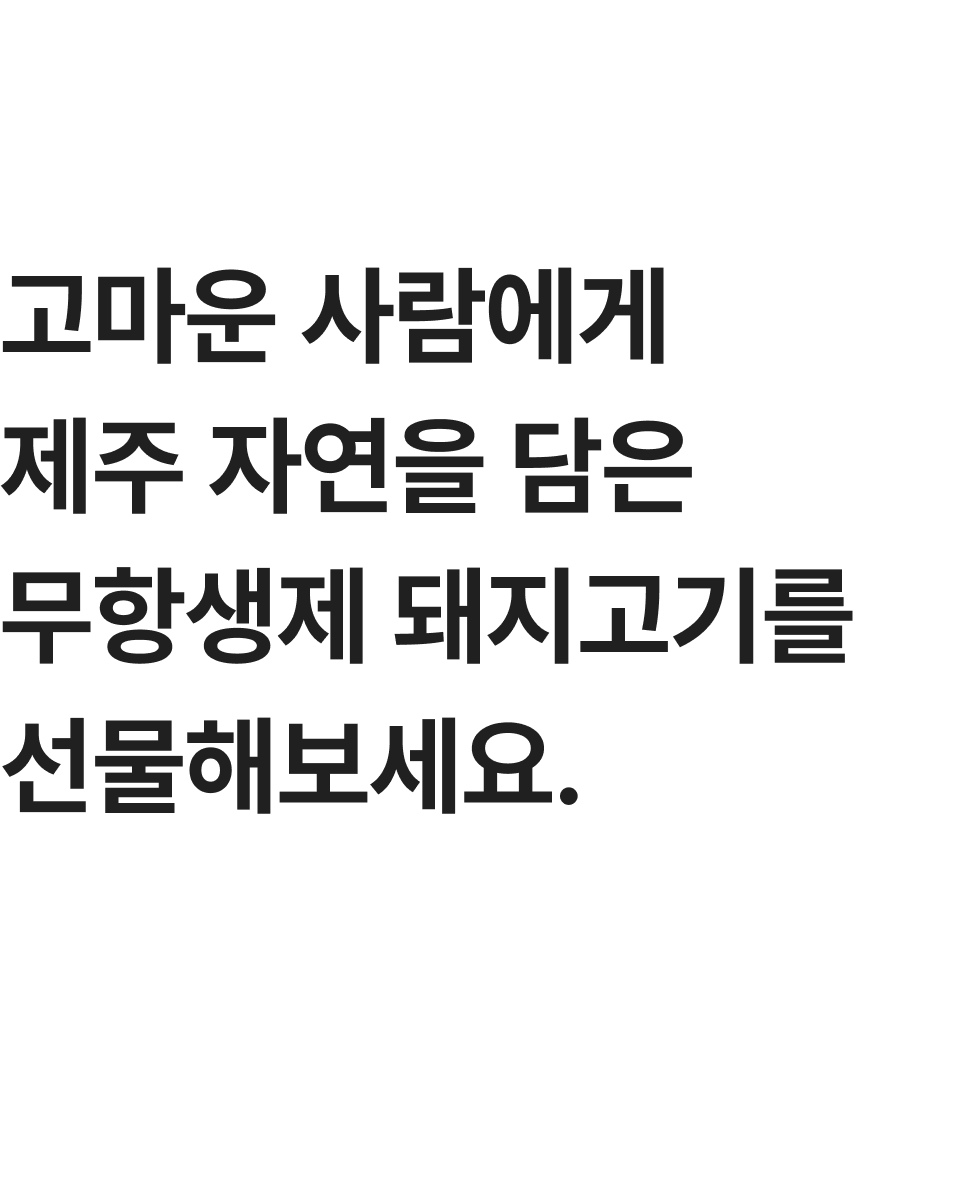 editor이미지