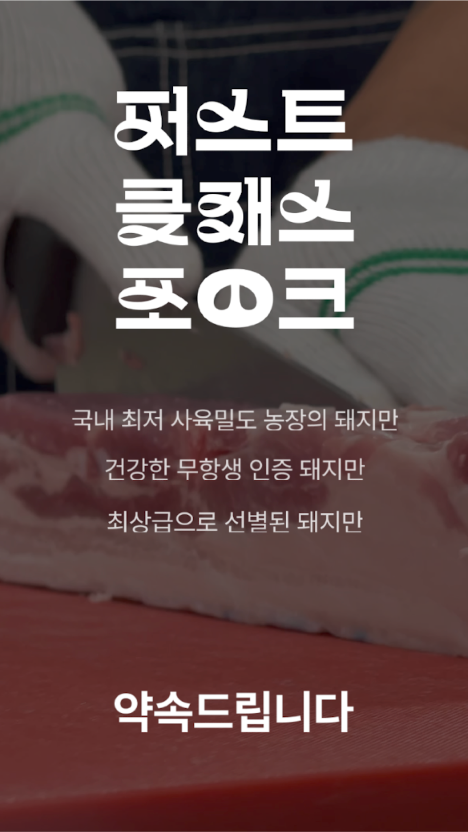 editor이미지