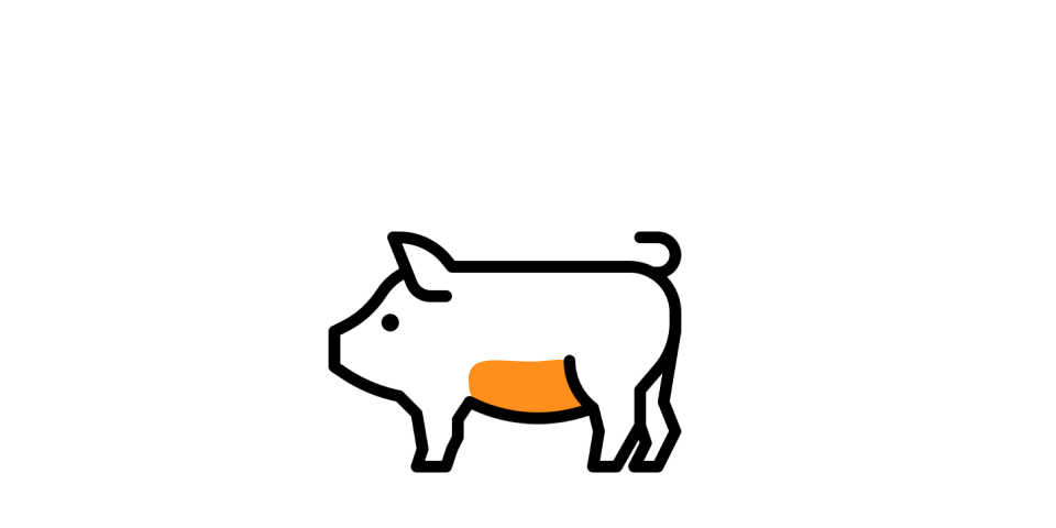 editor이미지