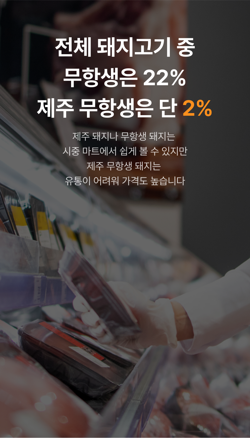 editor이미지