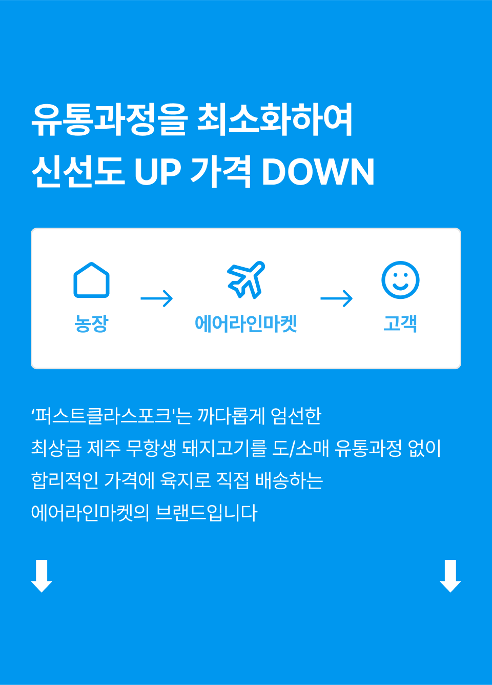 editor이미지