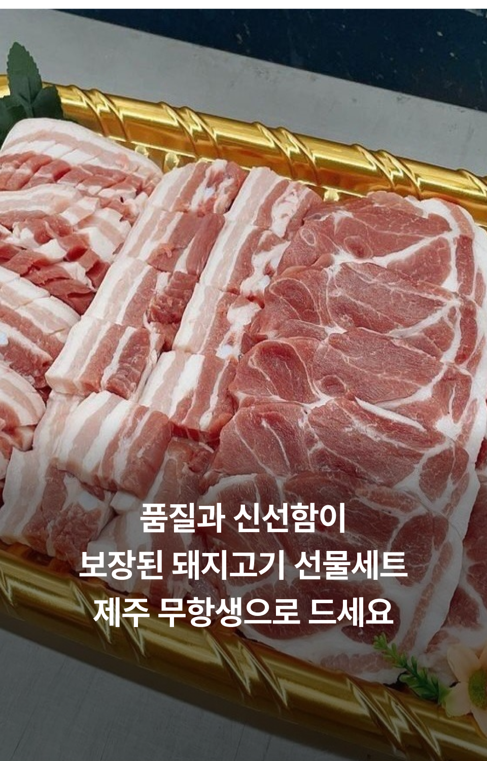 editor이미지