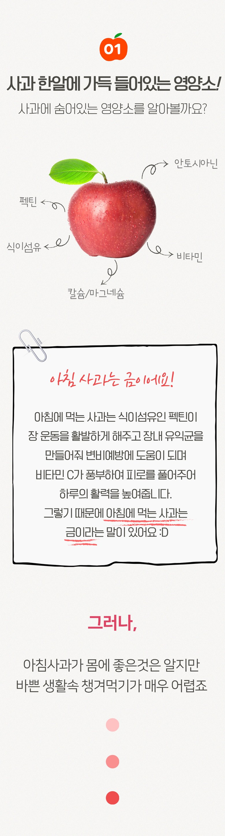 editor이미지