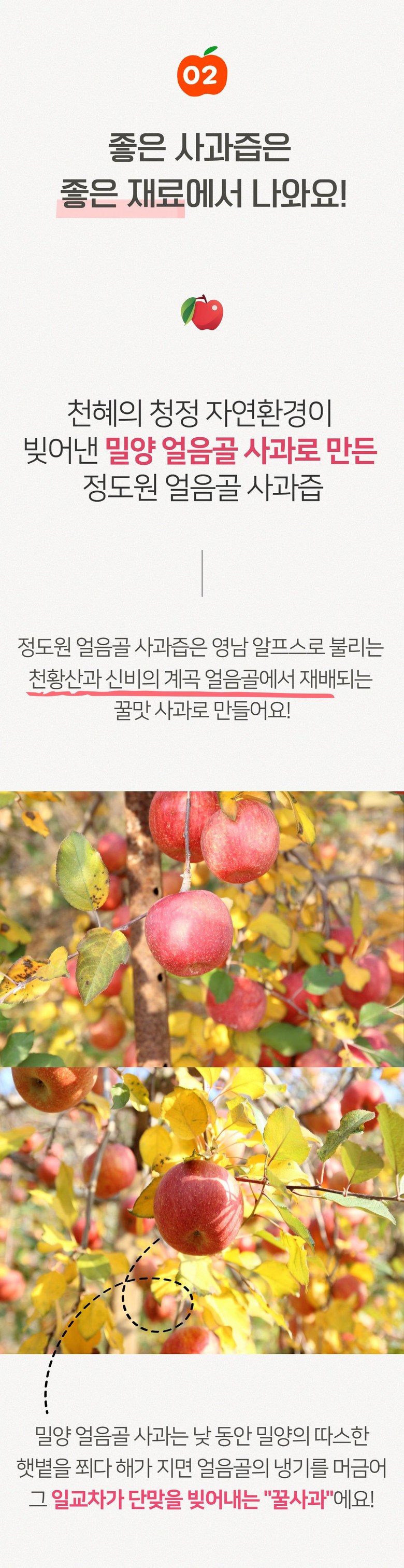 editor이미지