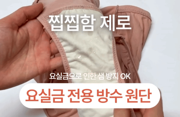 editor이미지