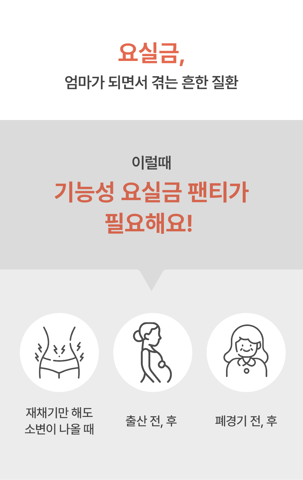 editor이미지