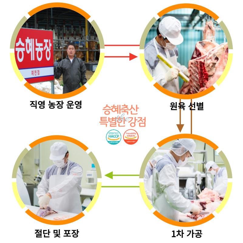 editor이미지