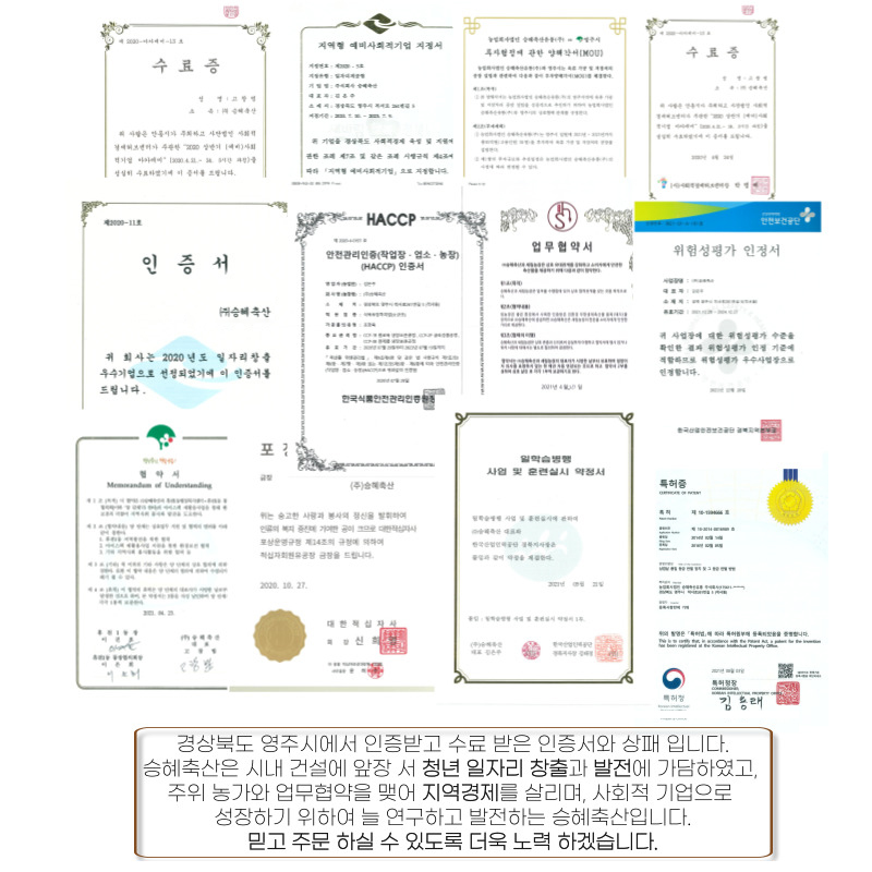 editor이미지