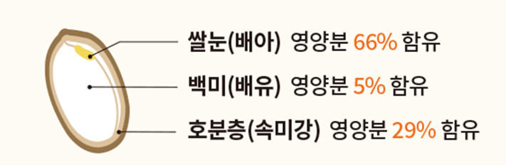 editor이미지
