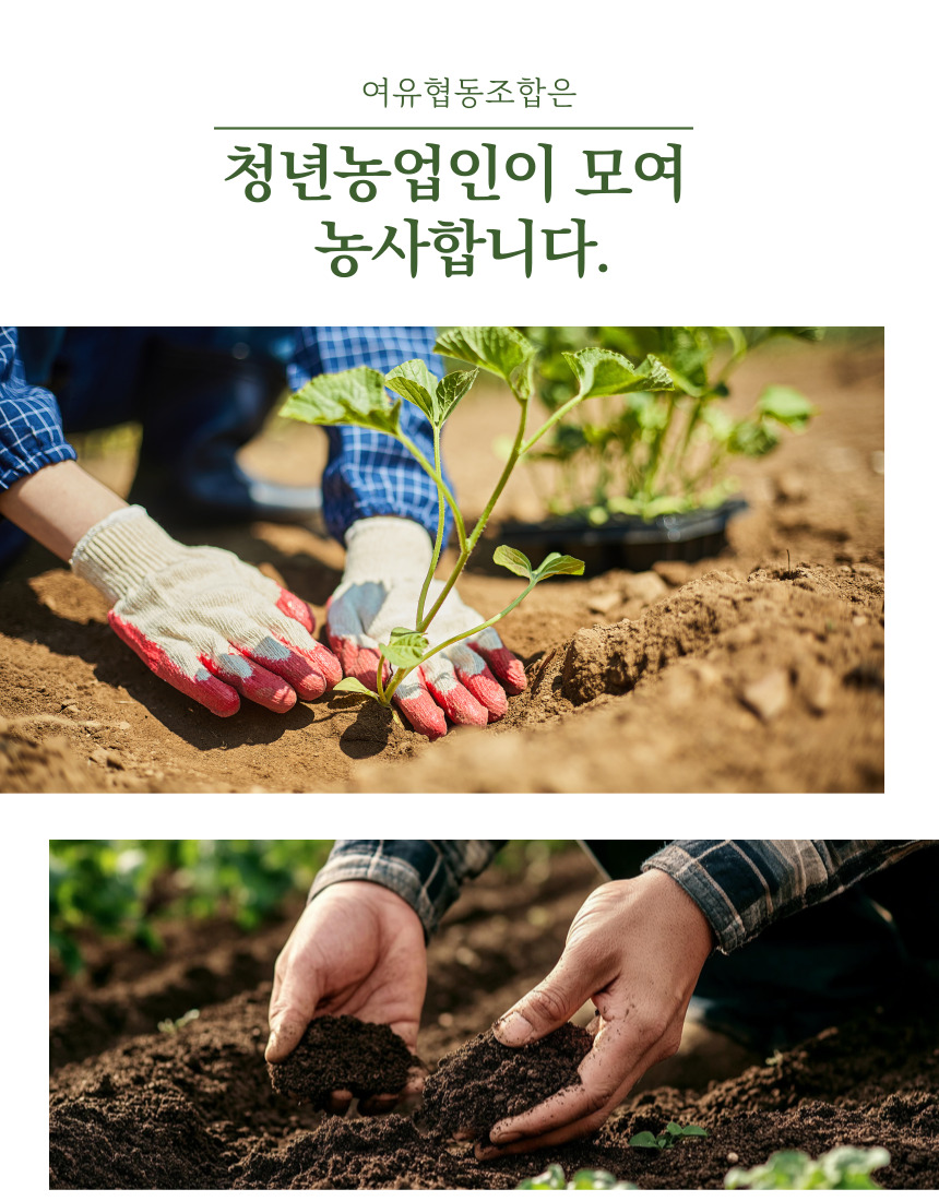 editor이미지
