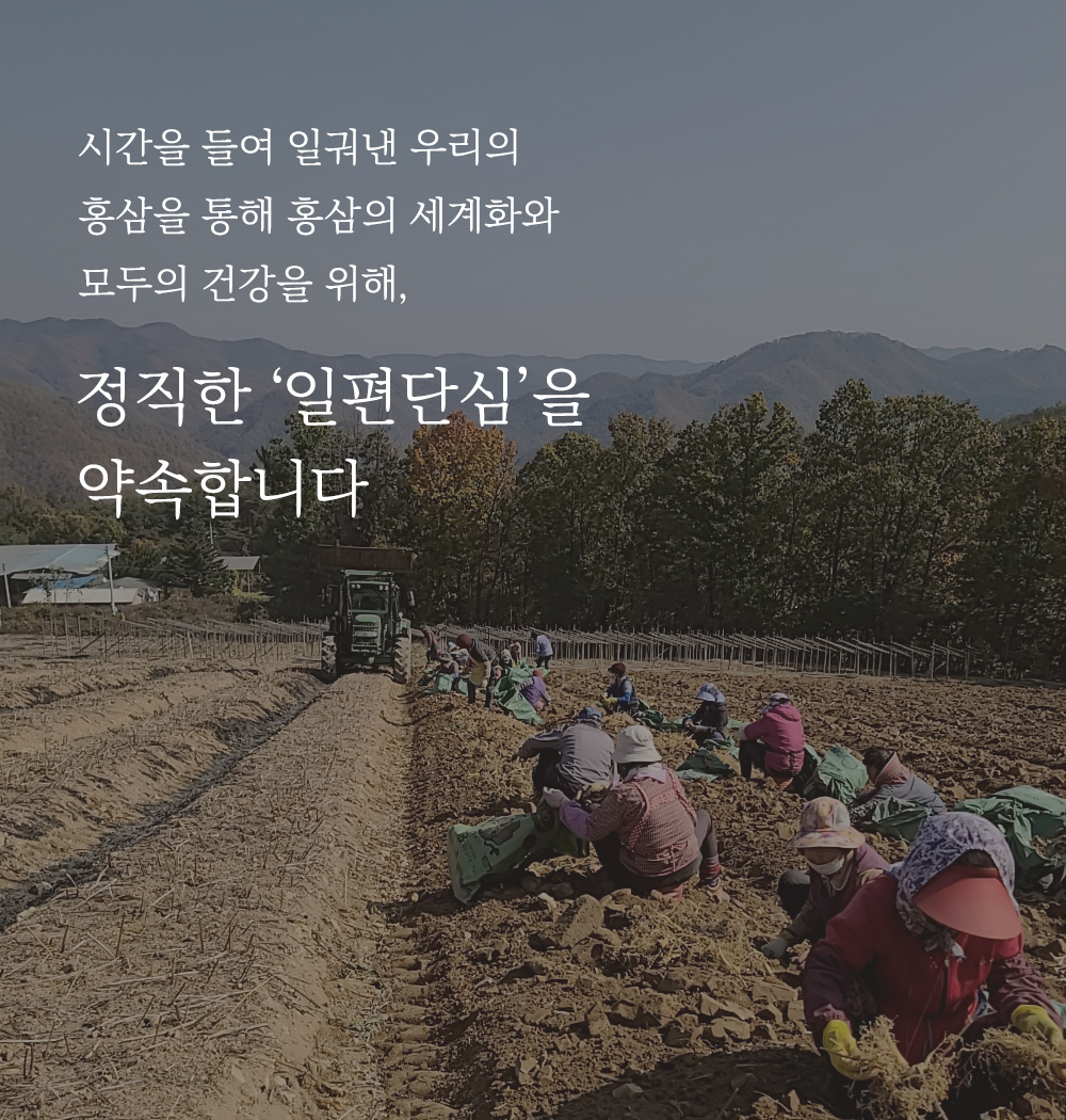 editor이미지