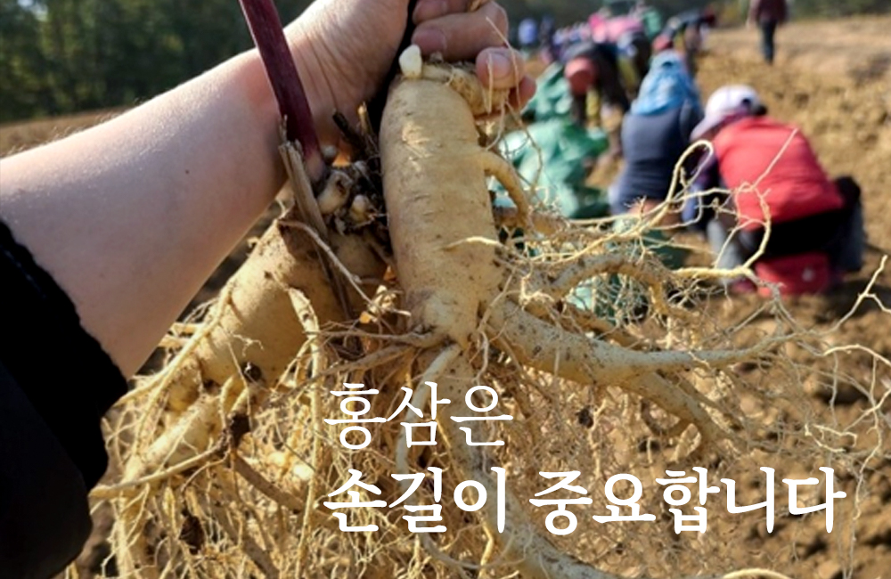 editor이미지