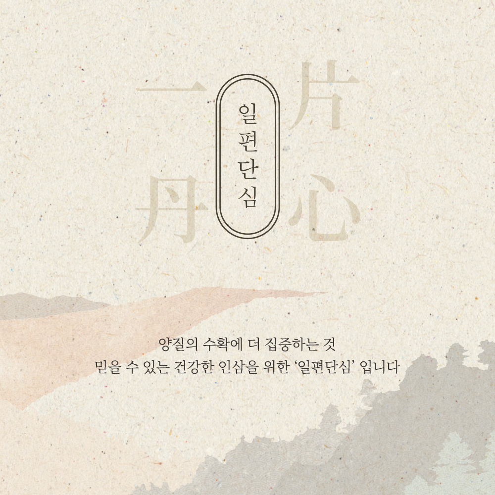 editor이미지
