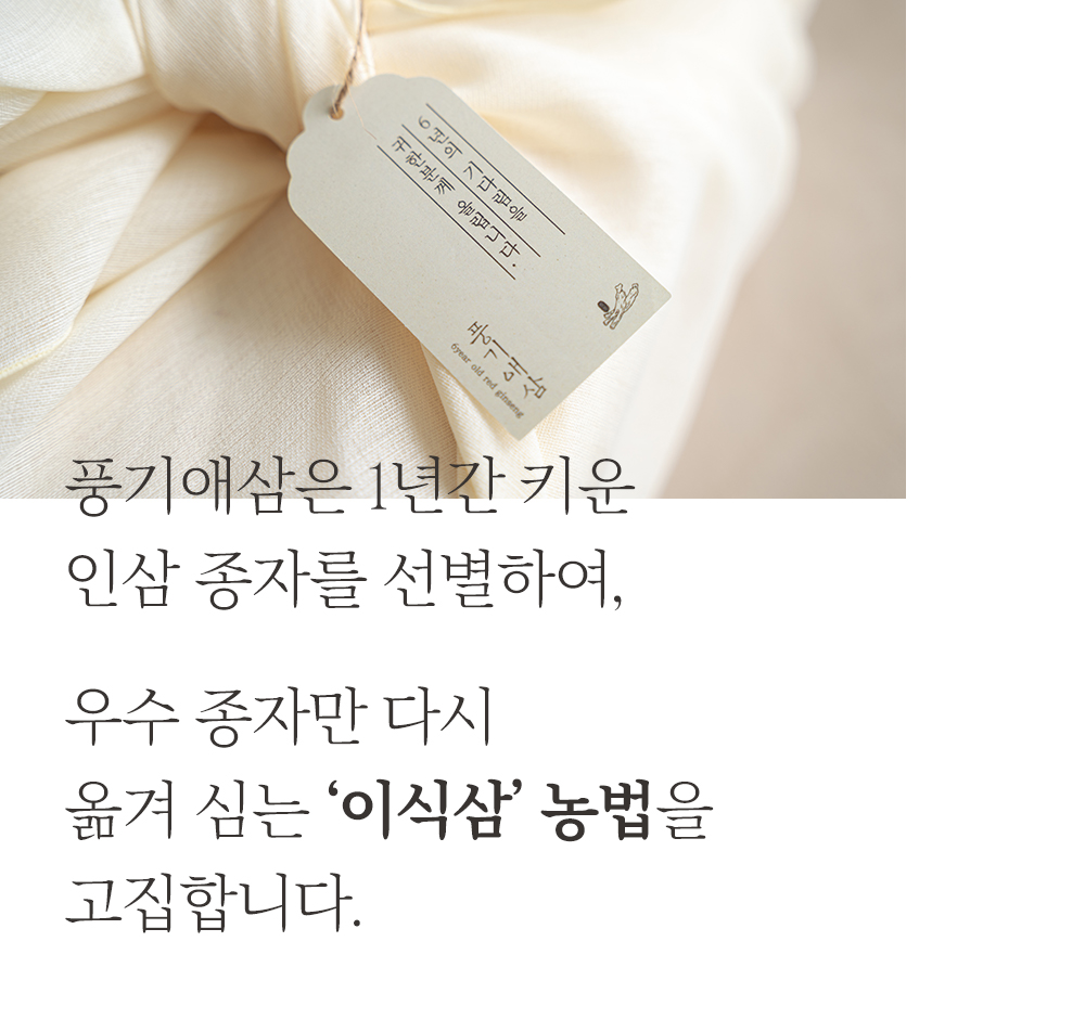 editor이미지