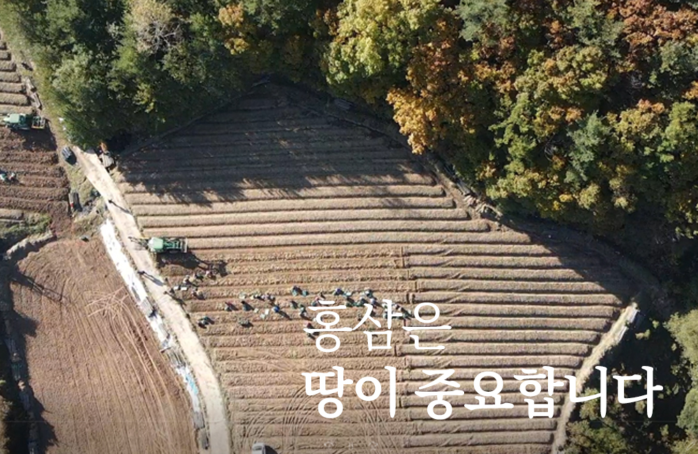 editor이미지