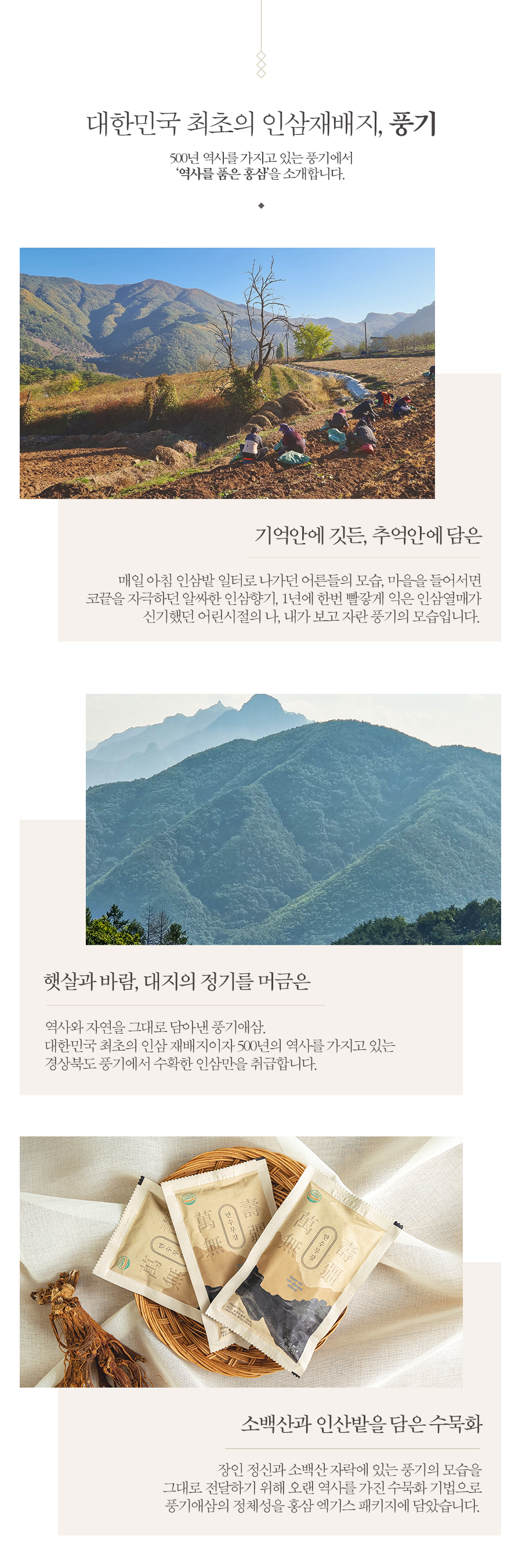 editor이미지