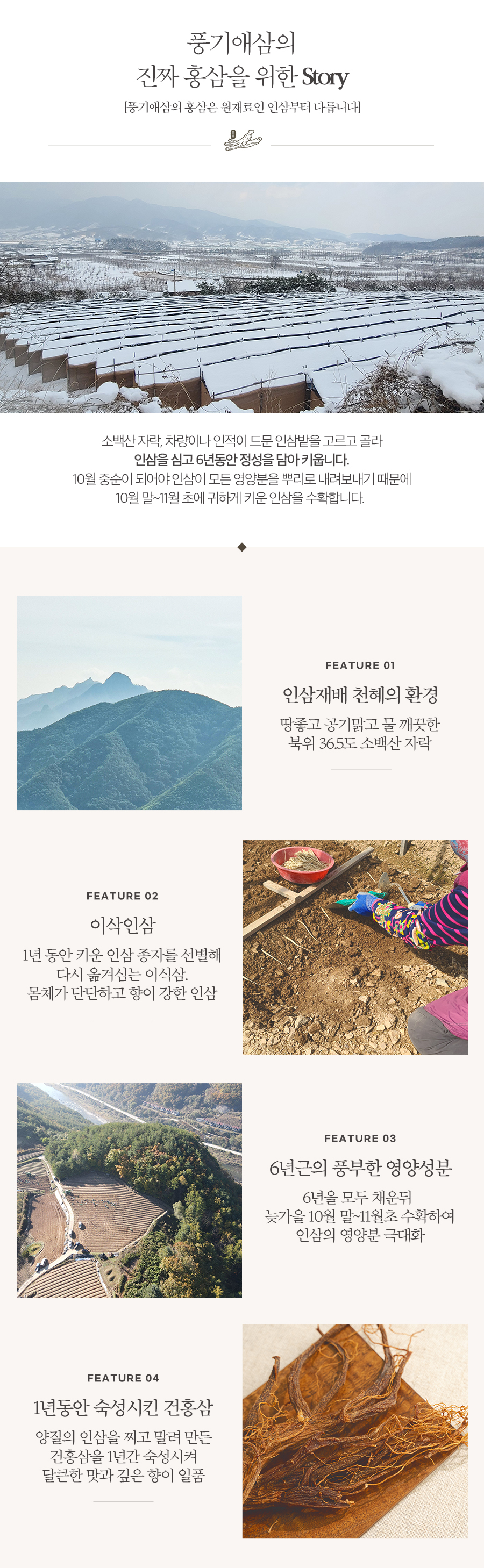 editor이미지